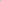 Gem Sea Turtle