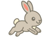Pet Bunny