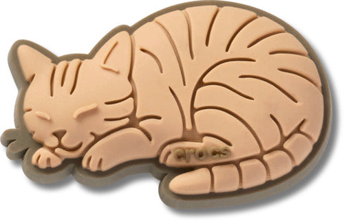 Tabby Cat