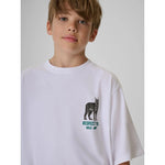 4F Boy's regular printed T-shirt gyerek póló, 158/164