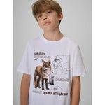 4F Boy's regular printed T-shirt gyerek póló 4FJKAW26TTSHM4452-10S