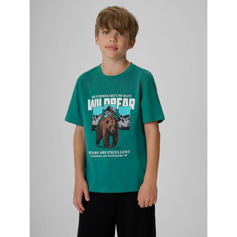 4F Boy's regular printed T-shirt gyerek póló 4FJKAW26TTSHM4456-46S