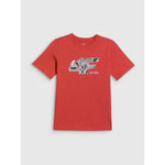 4F Boys' Regular-Fit Printed T-Shirt gyerek póló 4FJRAW26TTSHM4349-062S
