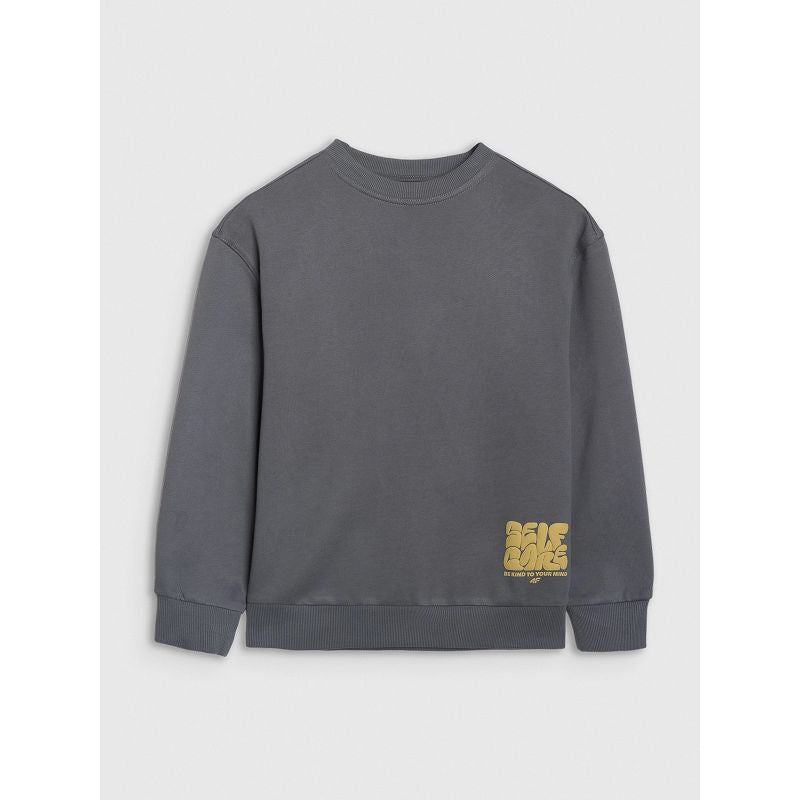 4F JUNIOR sweatshirt gyerek pulóver 4FJRAW25TSWSM2448-22S