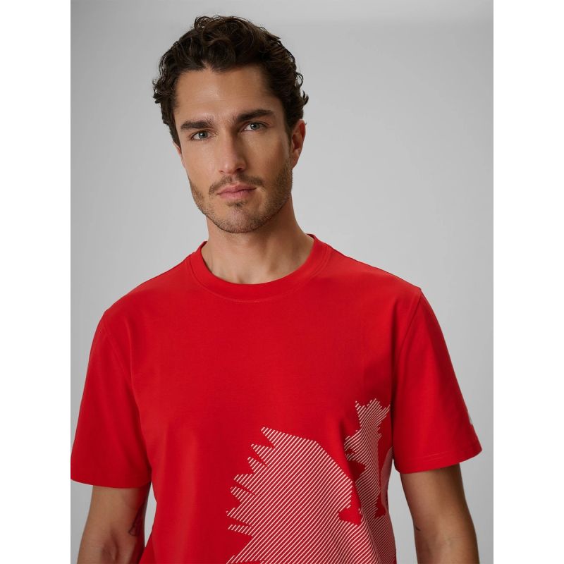 4F Men's cotton fan T-shirt férfi póló