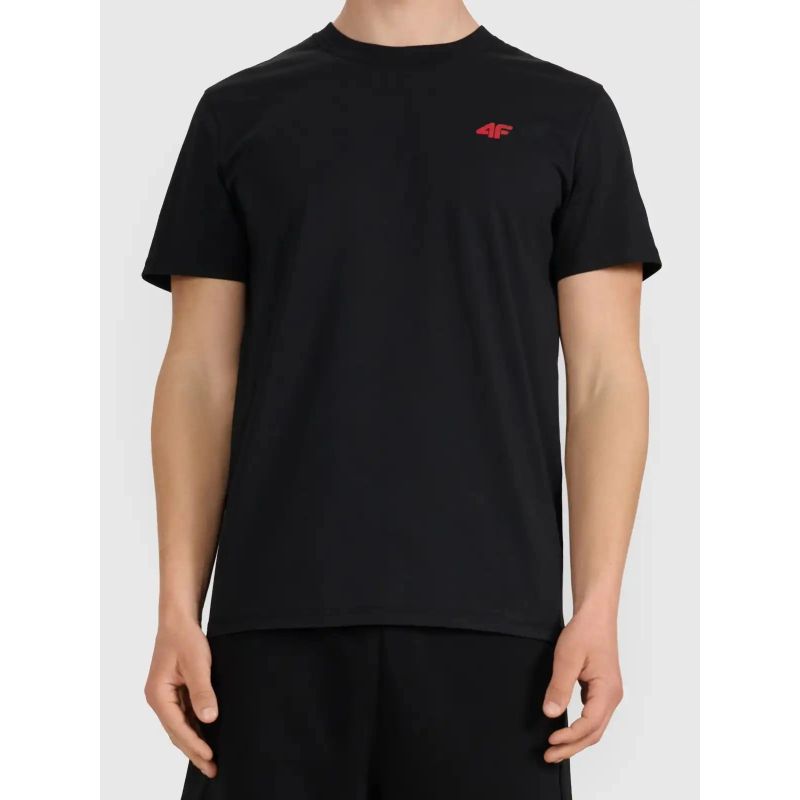 4F Regular men's T-shirt 5xl férfi póló 4FWMM00TTSHM3341-020S
