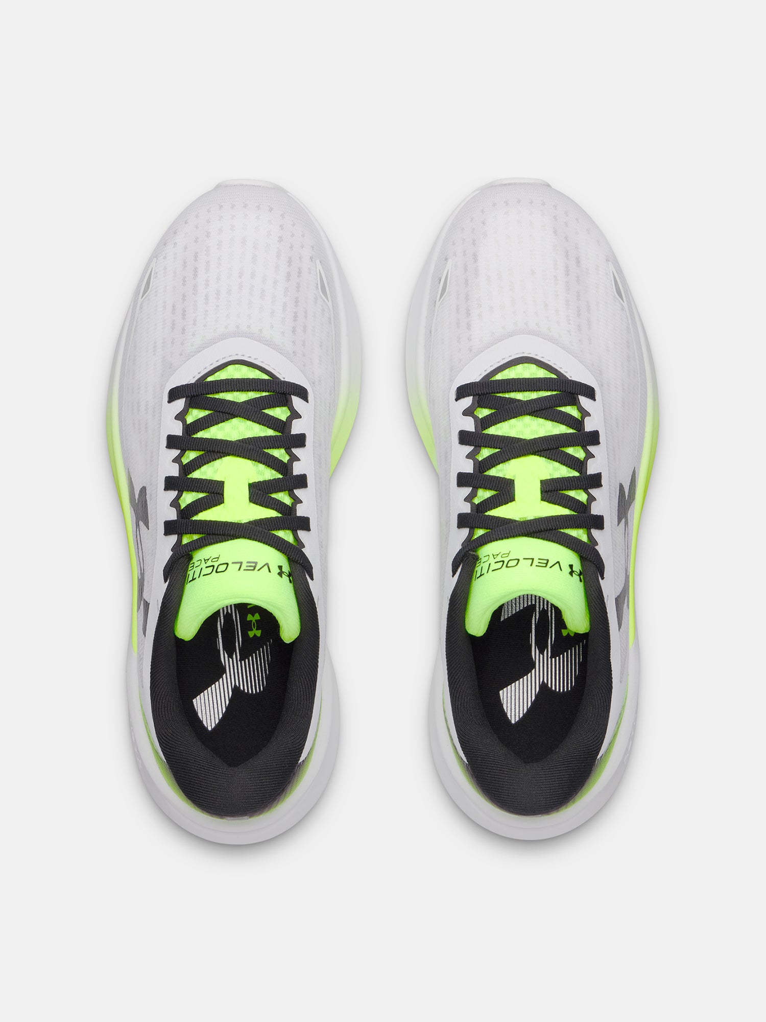 Férfi cipõk Under Armour UA Velociti Pace