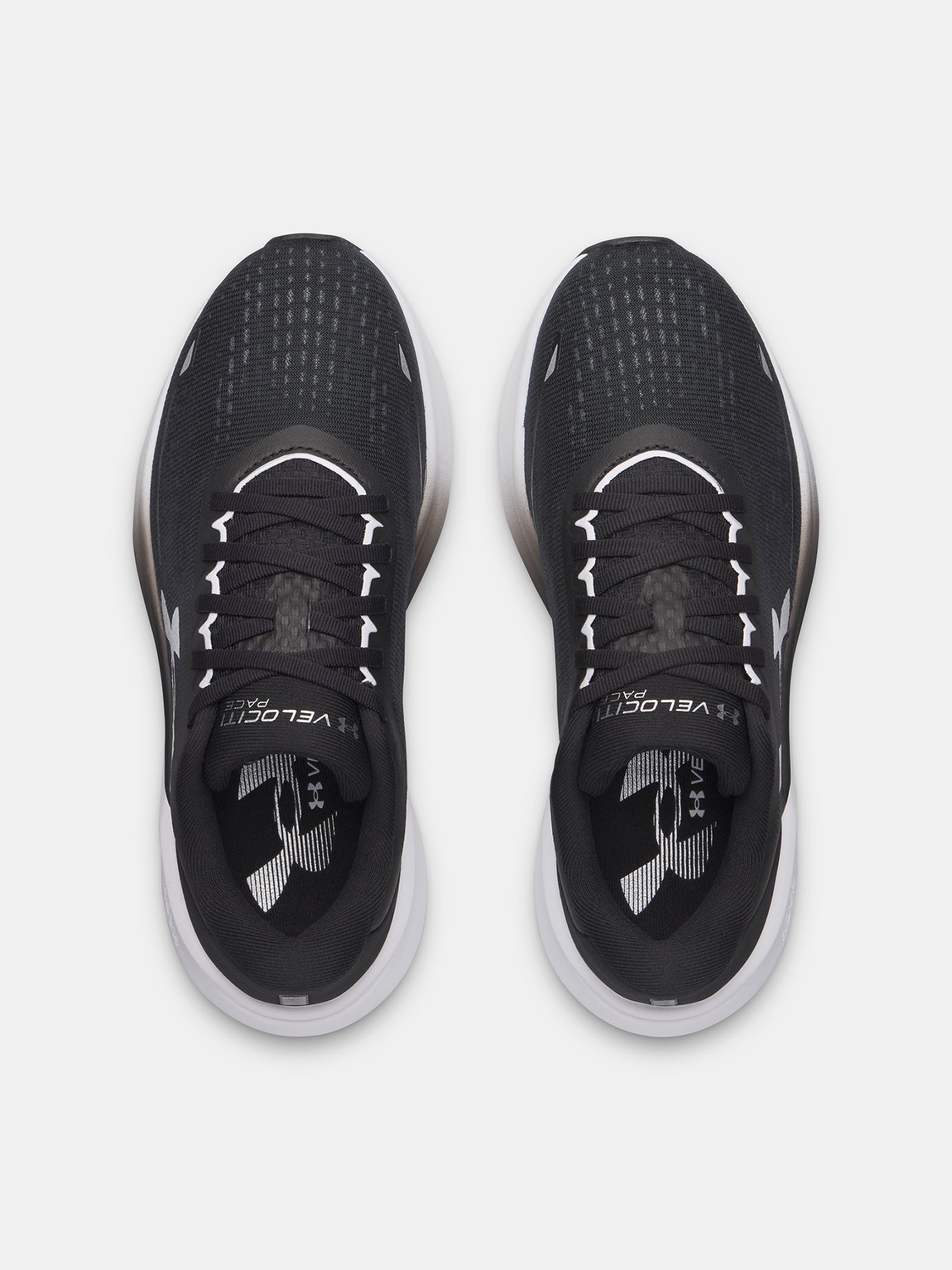 Nõi cipõ Under Armour UA W Velociti Pace