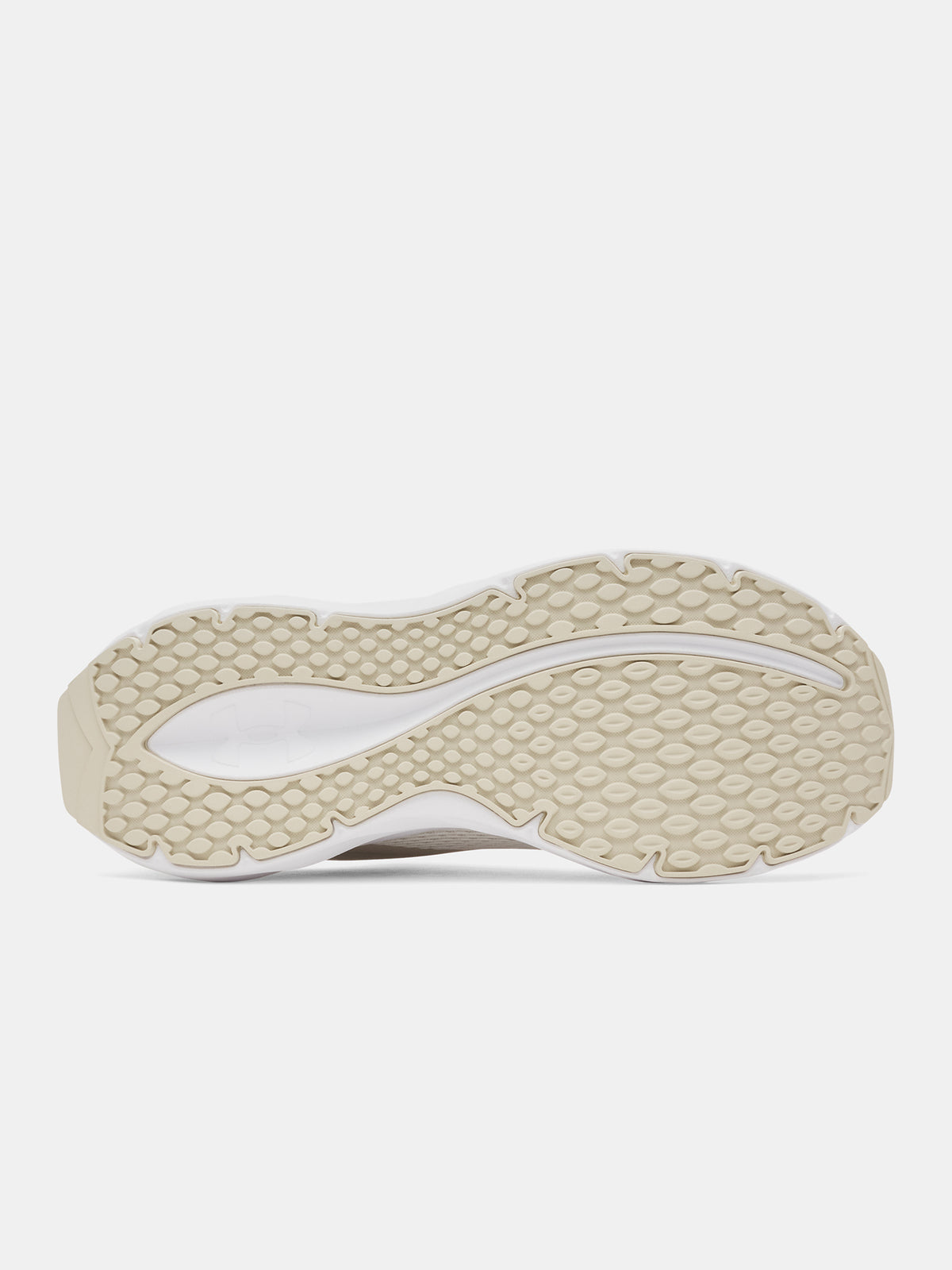 Nõi cipõ Under Armour UA W Ascend