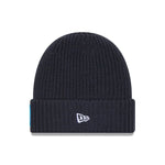 Carolina Panthers NFL Sideline 2025 Charcoal Cuff Knit Beanie Hat - kötött sapka