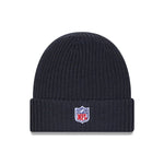 Carolina Panthers NFL Sideline 2025 Charcoal Cuff Knit Beanie Hat - kötött sapka