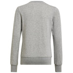 adidas adidas Big Logo Swt Jr Pulóver gyerek HM8706