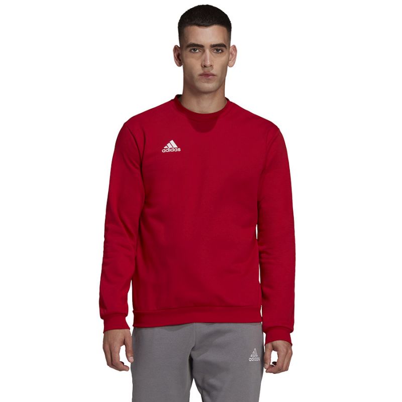adidas adidas Entrada 22 Póló férfi Pulóver HB0577