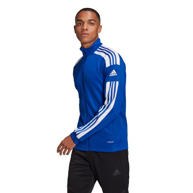 adidas adidas Squadra 21 Training Póló férfi Pulóver GP6463