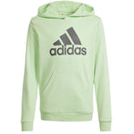 Adidas Big Logo Hoodie Jr IS2591 sweatshirt Pulóver - Sportmania.hu
