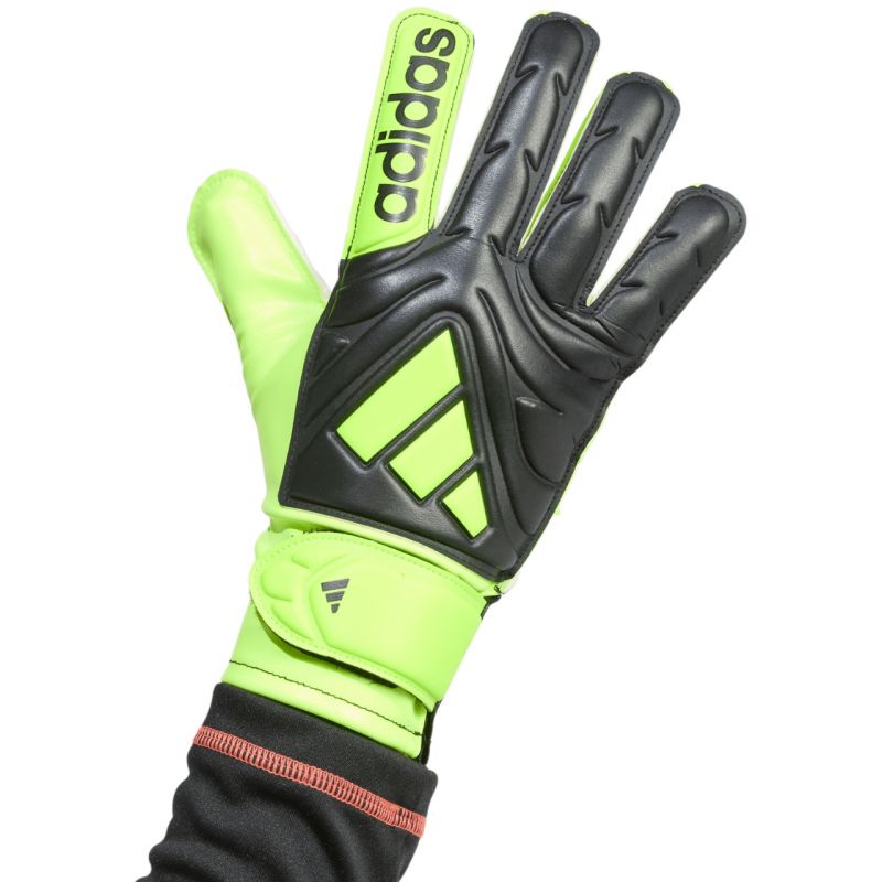 adidas Copa Club Jr JN5341 Goalkeeper Gloves Kapuskesztyű - Sportmania.hu