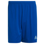 Adidas ENT22 SHO Short Ruházat - Sportmania.hu