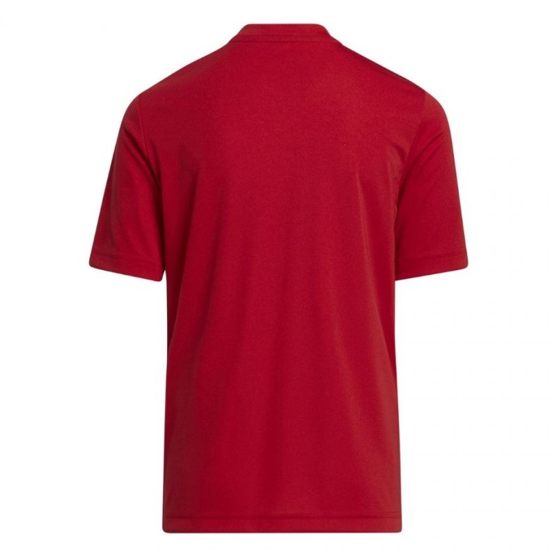 Adidas Entrada 22 Graphic Jersey Jr.H58983 Ruházat