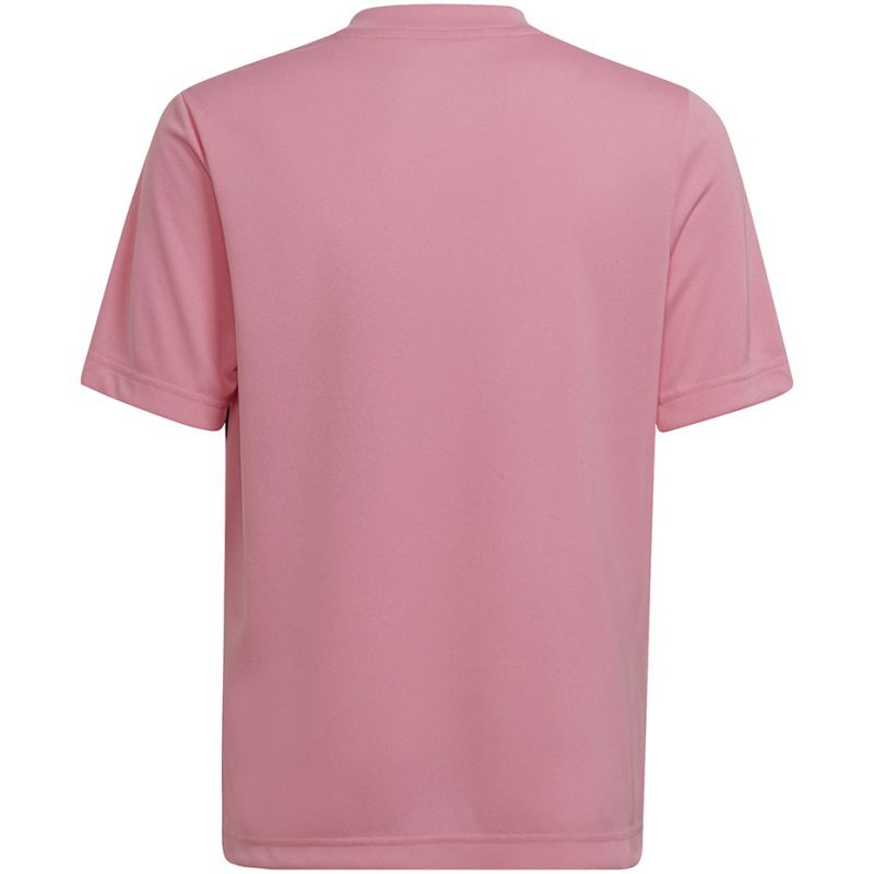 Adidas Entrada 22 Graphic Jersey Jr HC2632 Ruházat