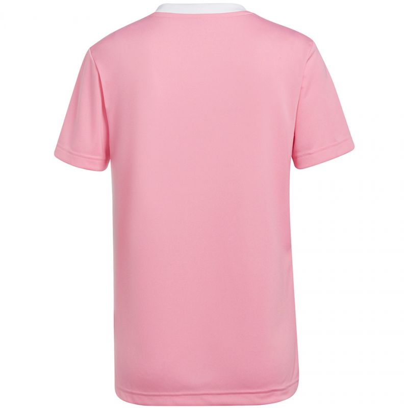 Adidas Entrada 22 Jersey W HC5075 Ruházat