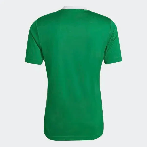 Adidas Entrada 22 mez, férfi Póló - Sportmania.hu