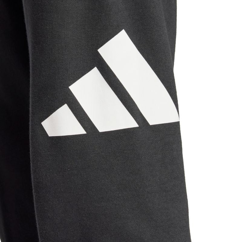 Adidas Essentials Big Logo French Terry M IN6163 pants Nadrág
