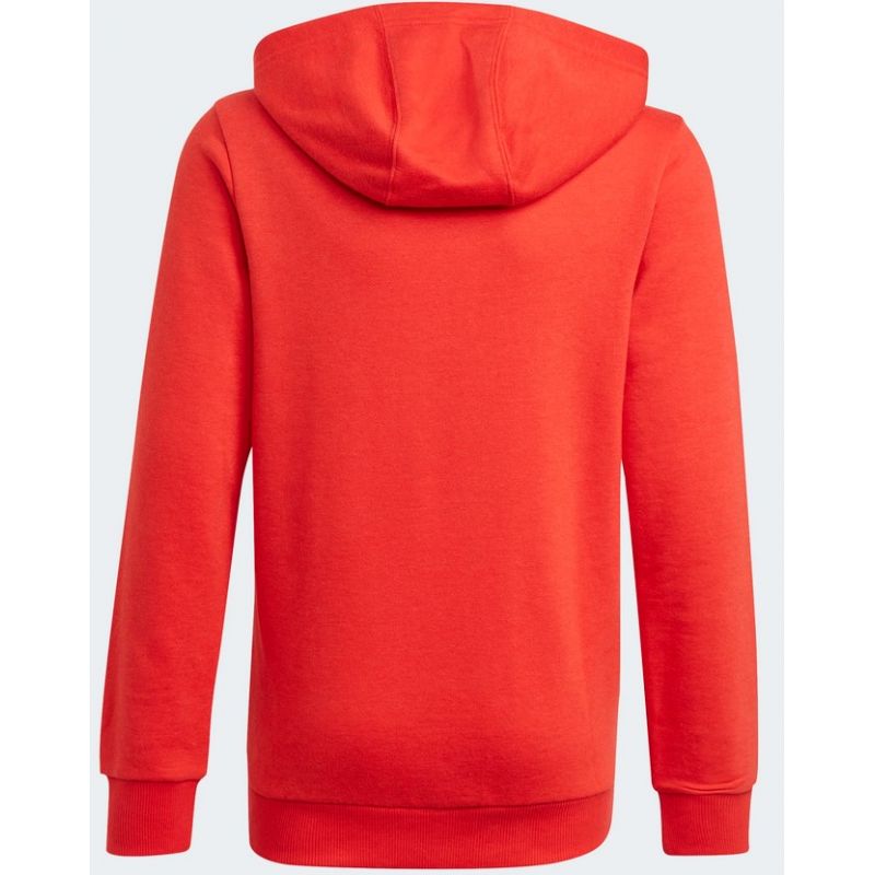 Adidas Essentials Big Logo Hoodie Jr GN4037 Kapucnis pulóver