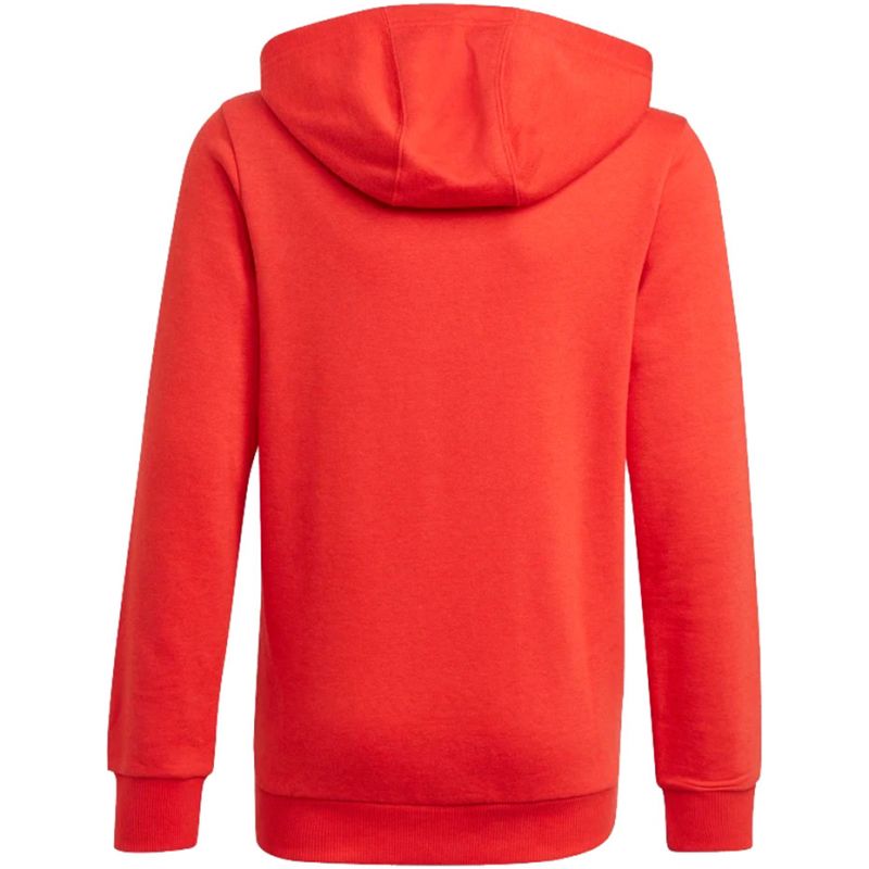 Adidas Essentials Big Logo Hoodie Jr GN4037 Kapucnis pulóver
