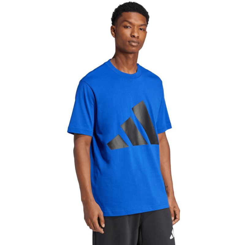 Adidas Essentials Big Logo T-Shirt férfi JE8942