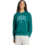adidas Men's Collegiate Green férfi Pulóver JM1733