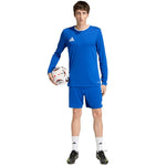 Adidas Men's Entrada 26 Long Sleeve Jersey kék férfi póló KF5852