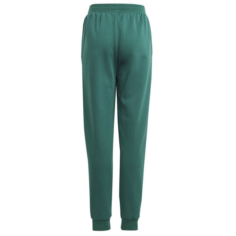 adidas Pants adidas Bluv Q3 Pant Jr. IA1553 Nadrág