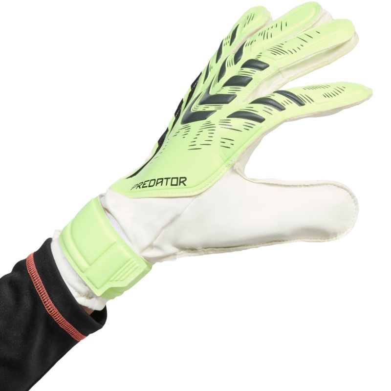 adidas Predator Training M JN5356 goalkeeper gloves Kapuskesztyű - Sportmania.hu
