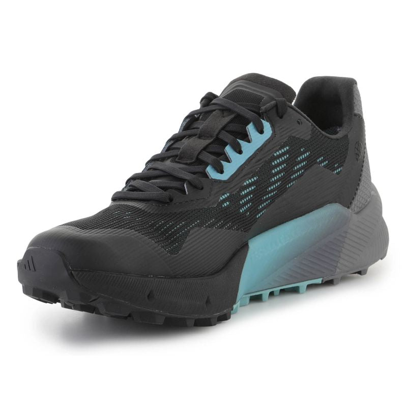 adidas Shoes adidas Terrex Agravic Flow 2 GTX M H03382 Cipő