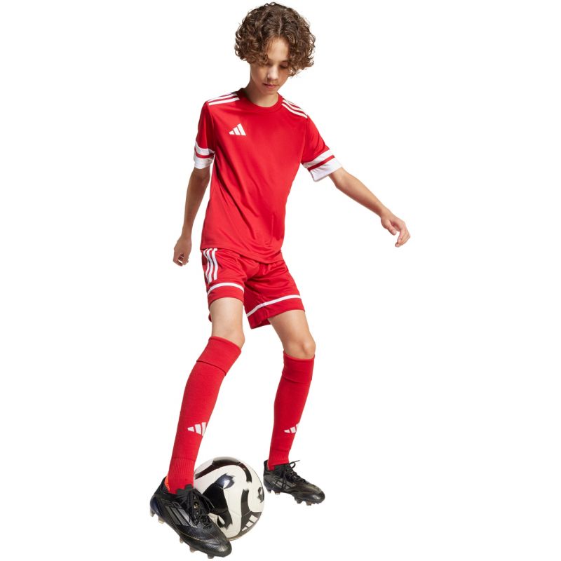 adidas Shorts adidas Squadra 25 Jr JN5456 Ruházat