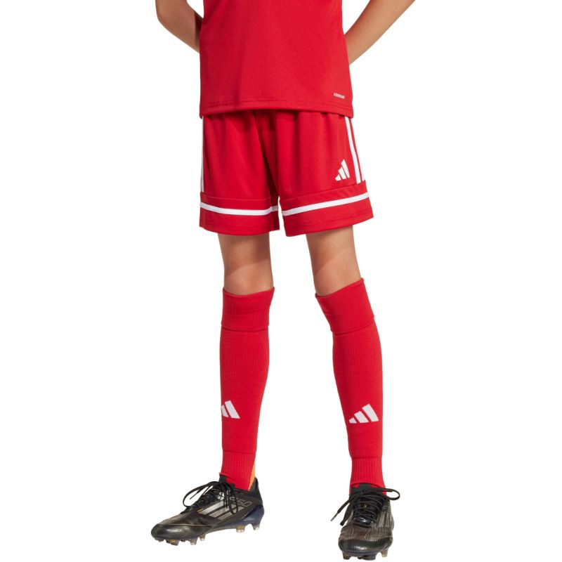 adidas Shorts adidas Squadra 25 Jr JN5456 Short - Sportmania.hu