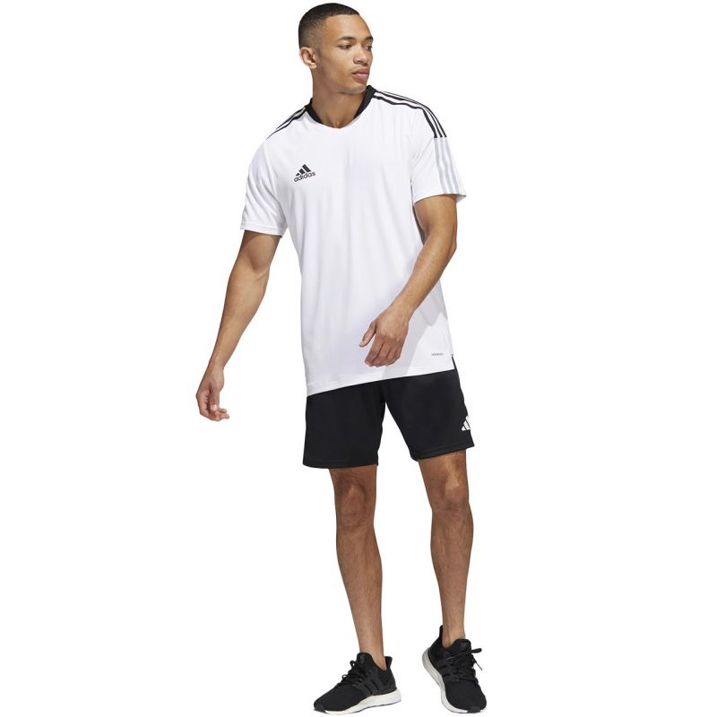 adidas Shorts adidas Tiro 23 Competition M HL3923 Ruházat