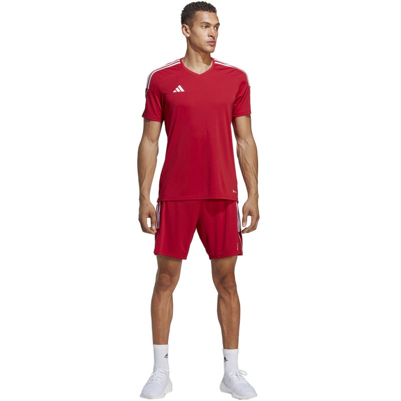 adidas Shorts adidas Tiro 23 League M IB8082 Ruházat
