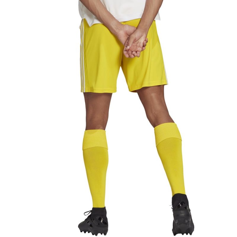 Adidas Squadra 21 Short M GN5772 Short - Sportmania.hu