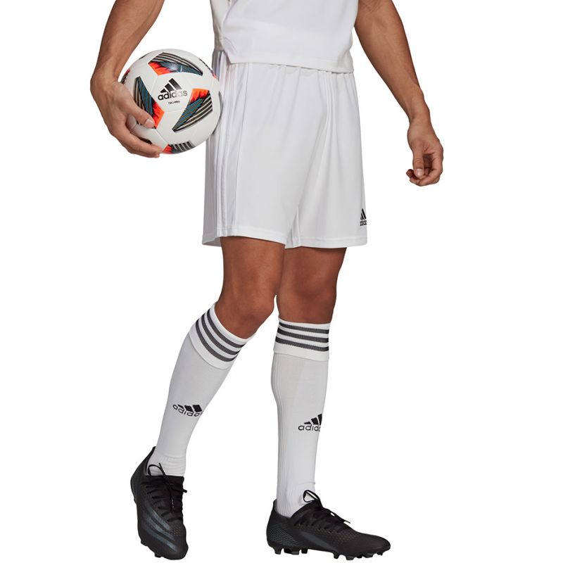 Adidas Squadra 21 Short M GN5774 Short - Sportmania.hu