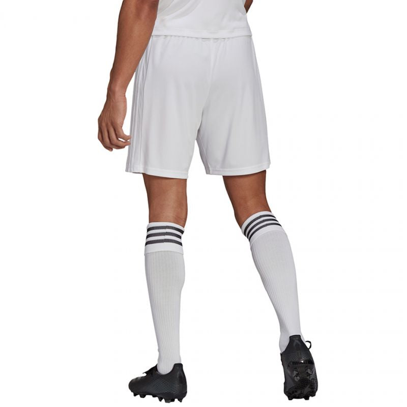 Adidas Squadra 21 Short M GN5774 Short - Sportmania.hu