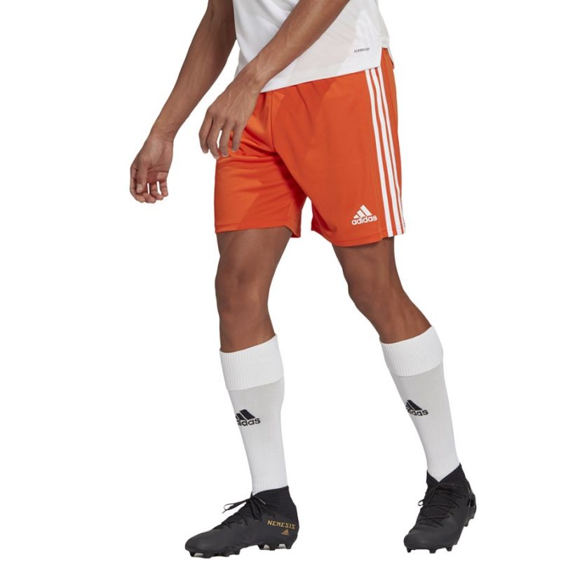 Adidas Squadra 21 Short M GN8084 Short - Sportmania.hu
