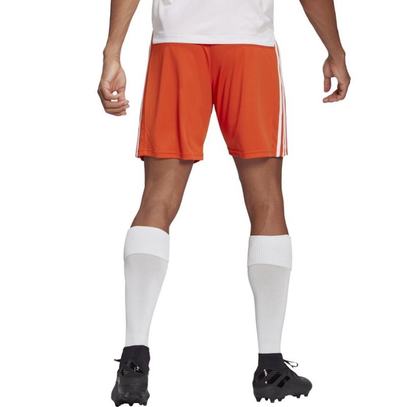 Adidas Squadra 21 Short M GN8084 Short - Sportmania.hu