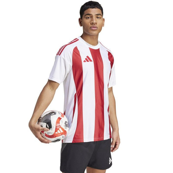 Adidas Striped 24 JSY M T-shirt IW2142 Póló