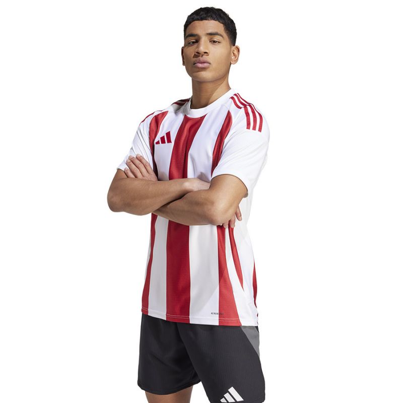 Adidas Striped 24 JSY M T-shirt IW2142 Póló
