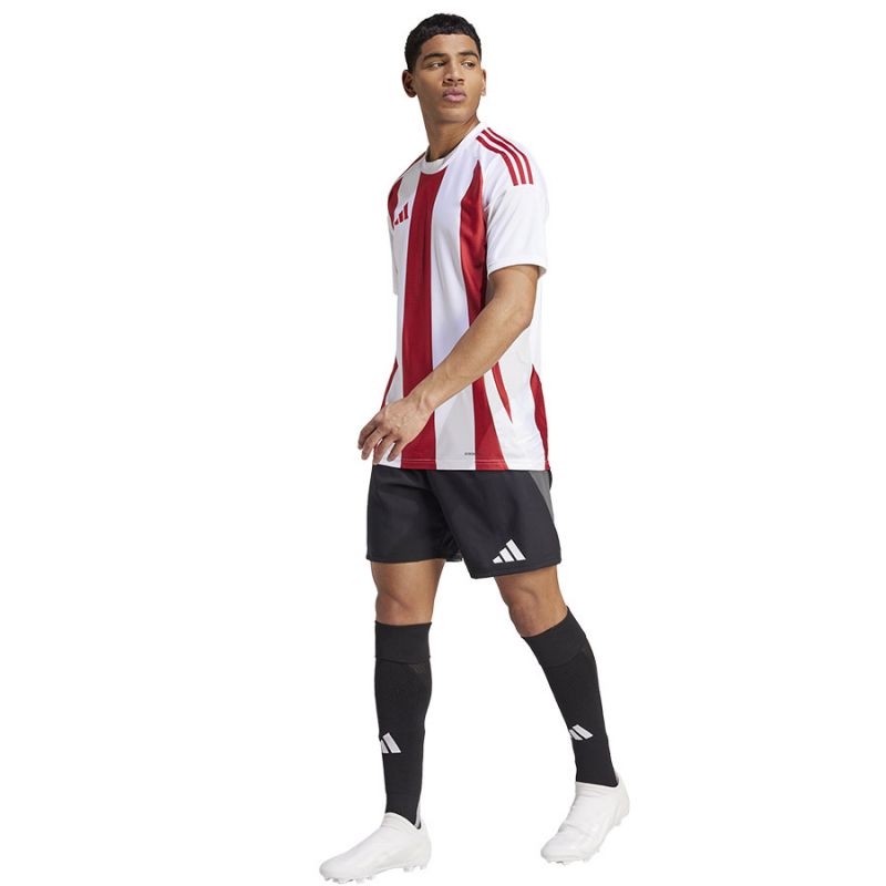 Adidas Striped 24 JSY M T-shirt IW2142 Póló