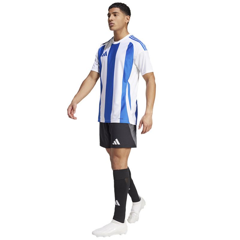 Adidas Striped 24 JSY M T-shirt IW2144 Póló