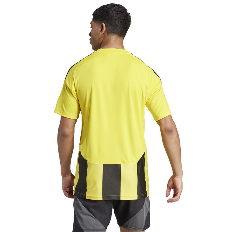 Adidas Striped 24 JSY M T-shirt IW2146 Póló