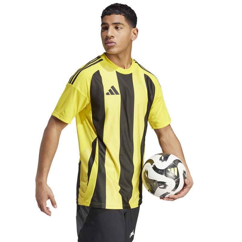 Adidas Striped 24 JSY M T-shirt IW2146 Póló