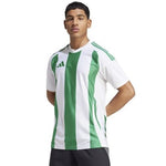 Adidas Striped 24 JSY M T-shirt IW2148 Póló - Sportmania.hu